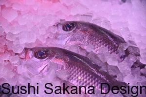 月別魚の旬一覧表 春夏秋冬に食べたい魚 Sushi Sakana Design